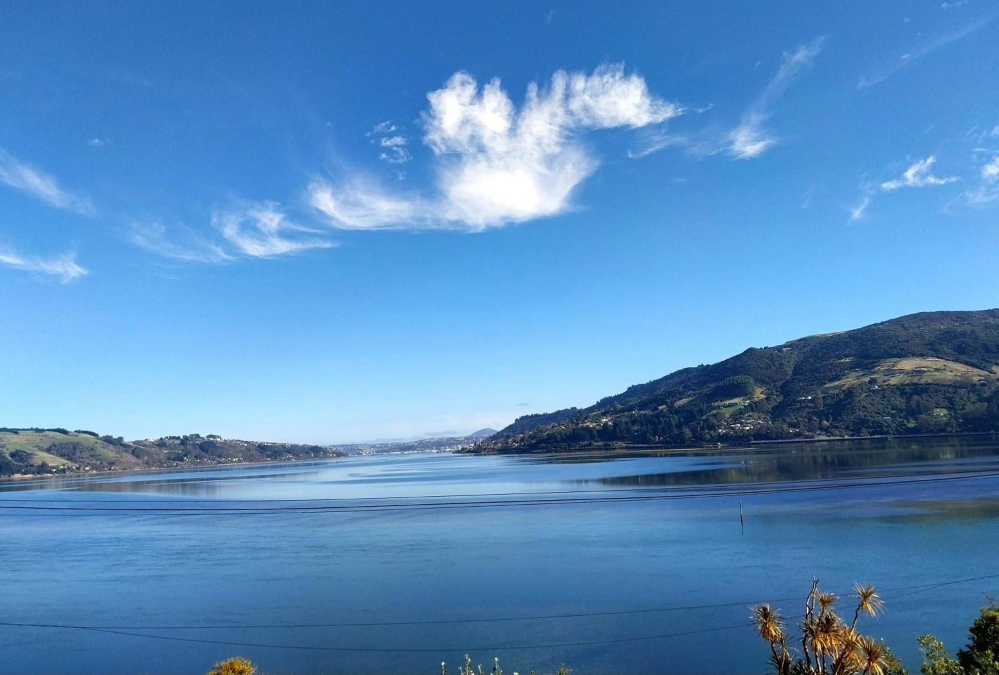 The Views Hotell Dunedin Eksteriør bilde